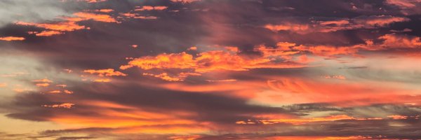 acholcomb Profile Banner