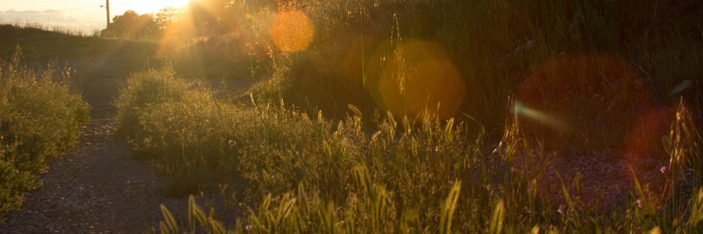imNiCAL's profile banner image
