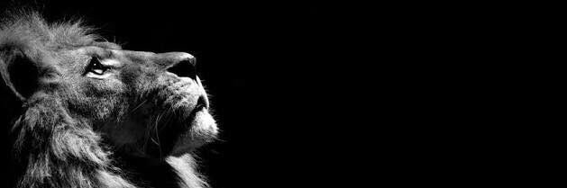 nydiahdezb's profile banner image