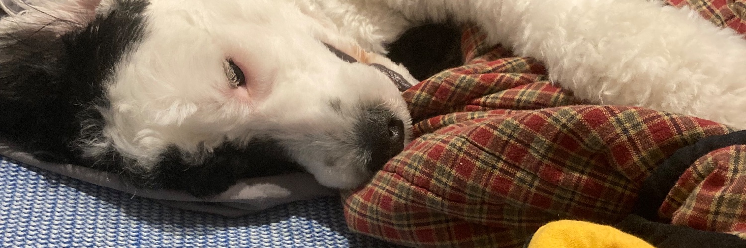 OmegaMatthew CR: Drifting Dragons banner