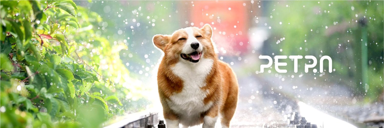 petrajpPR's profile banner image