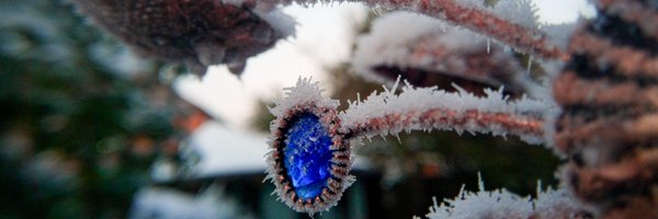 MetChasers Profile Banner