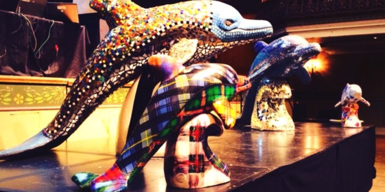 WildDolphin2014's profile banner image