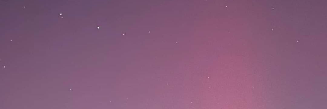 Elena Yu banner