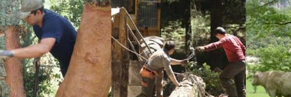 cpforestal Profile Banner