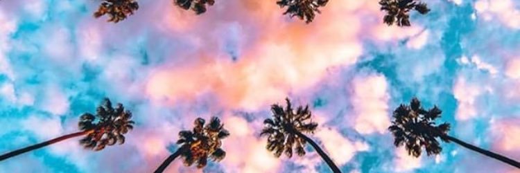 psykon_'s profile banner image