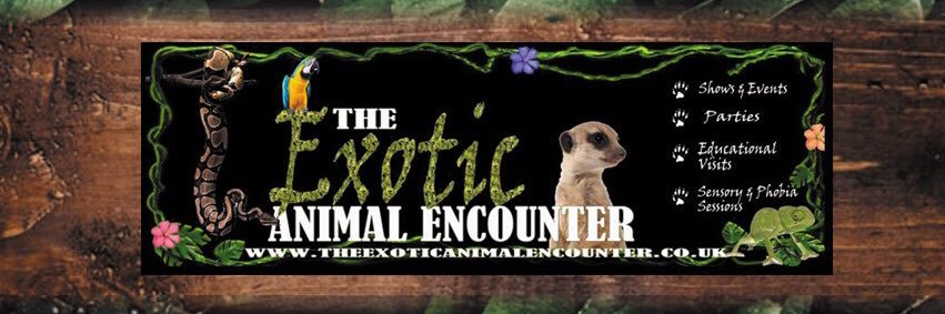 exoticanimals1's profile banner image
