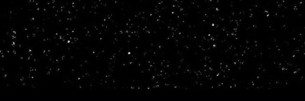 flaviuccii Profile Banner