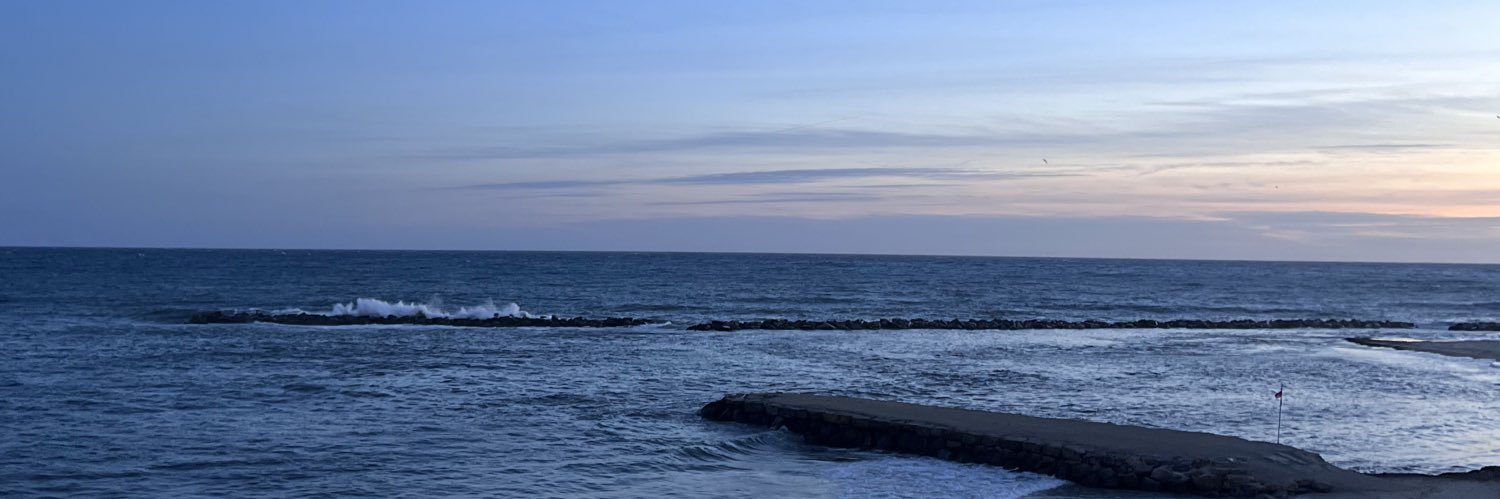 imanou tralala🦎 banner