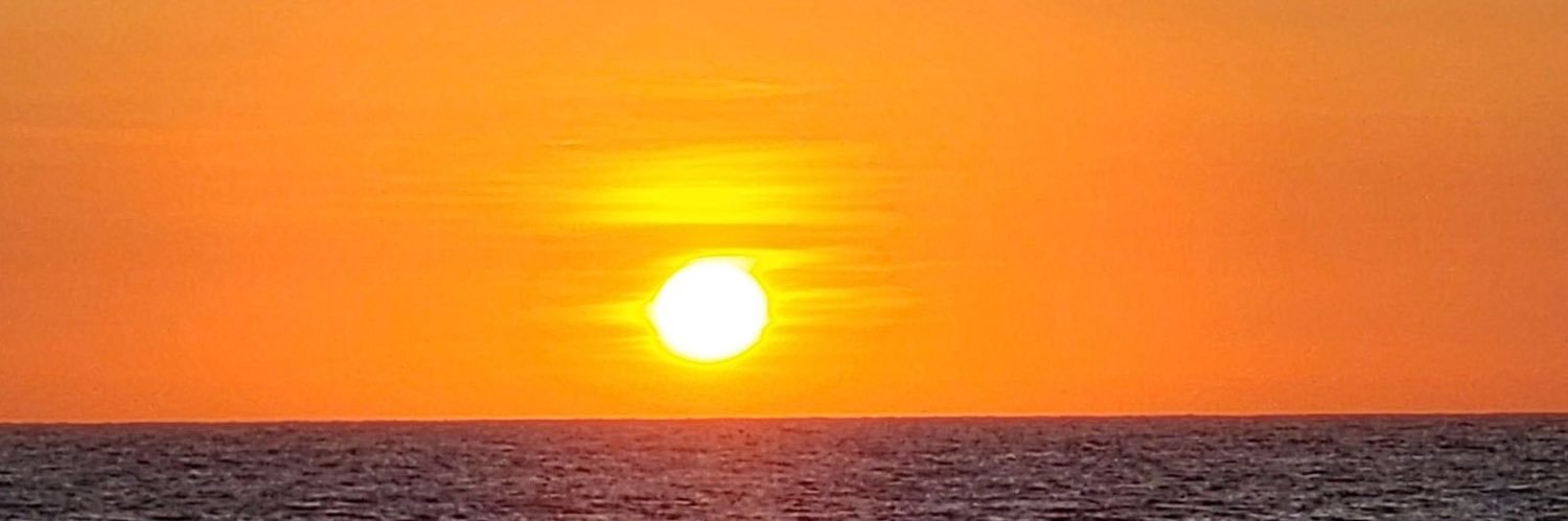 joannacee6's profile banner image
