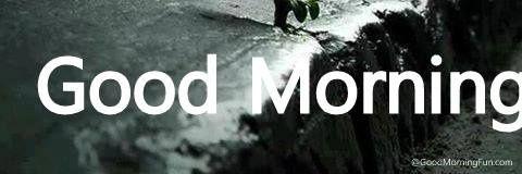 pradeep kumar Tiwari banner