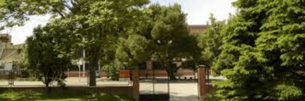 IES Ramón J. Sender banner