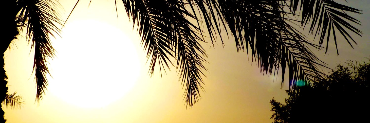 Zeineb | زينب banner