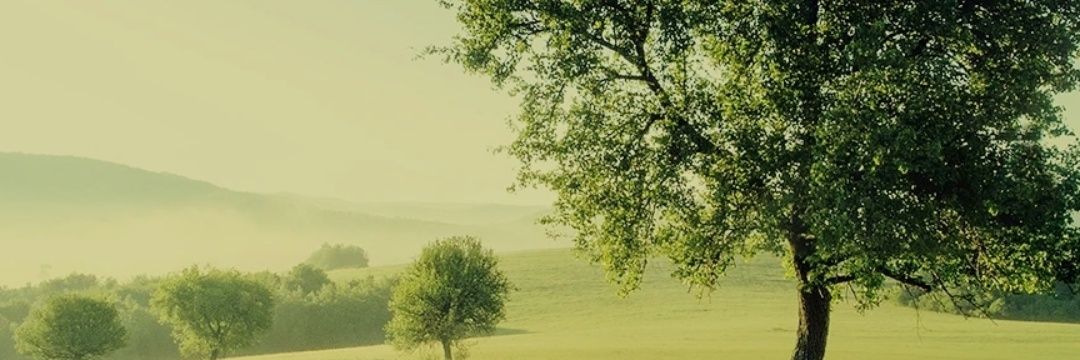 velhasılıkelam banner