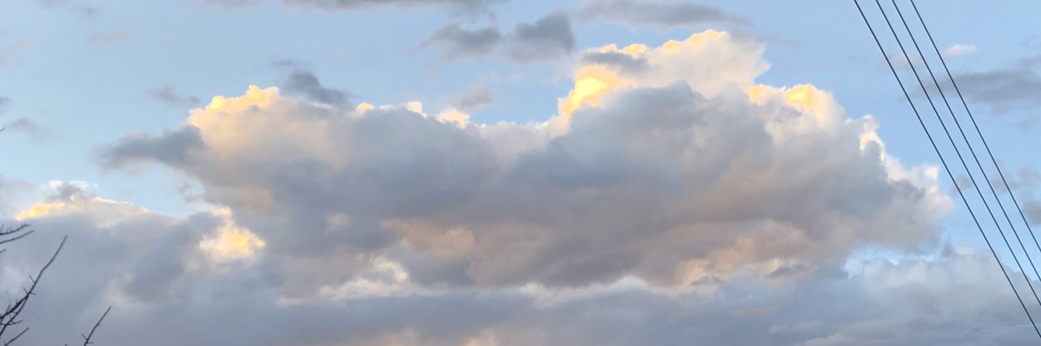 cod_si's profile banner image
