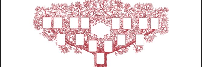 AGHS_Probate's profile banner image