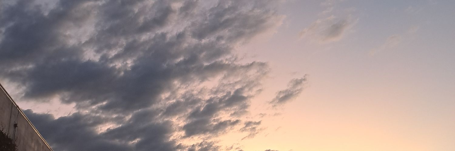 anii_zaratee's profile banner image