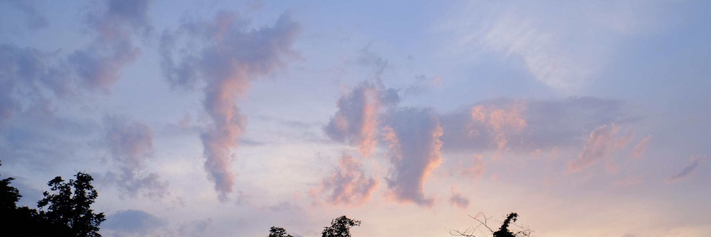 tho22's profile banner image
