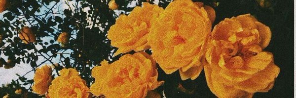 wencysign Profile Banner