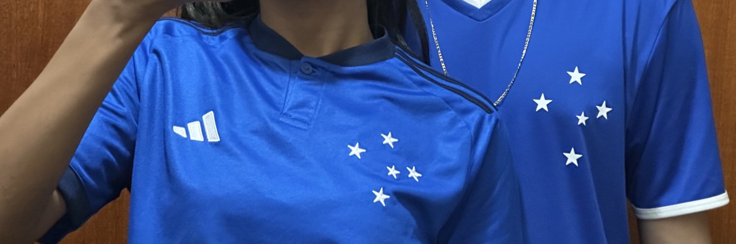 Leozinᶜᵉᶜ 🦊💙 banner