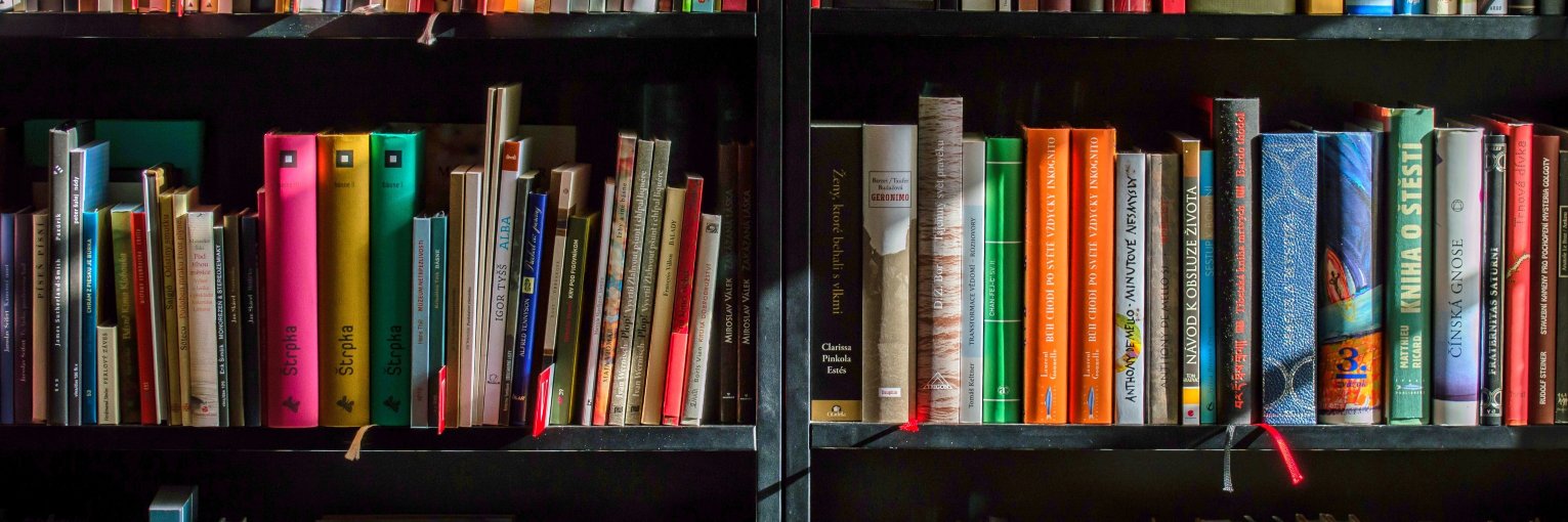 TheBookPosh's profile banner image