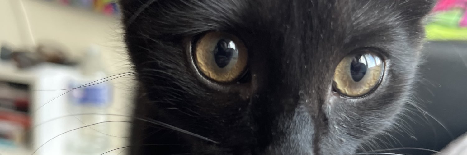 t’enflammes pas pétasse banner