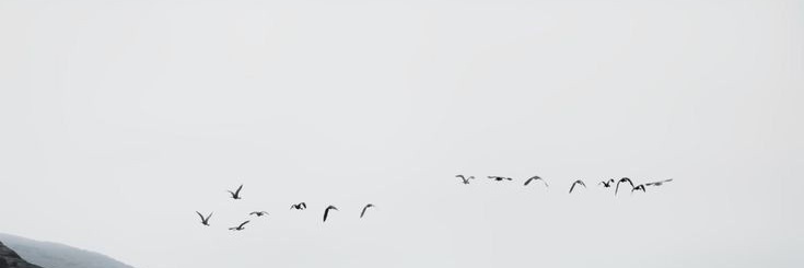 Kieran🤍|'s banner