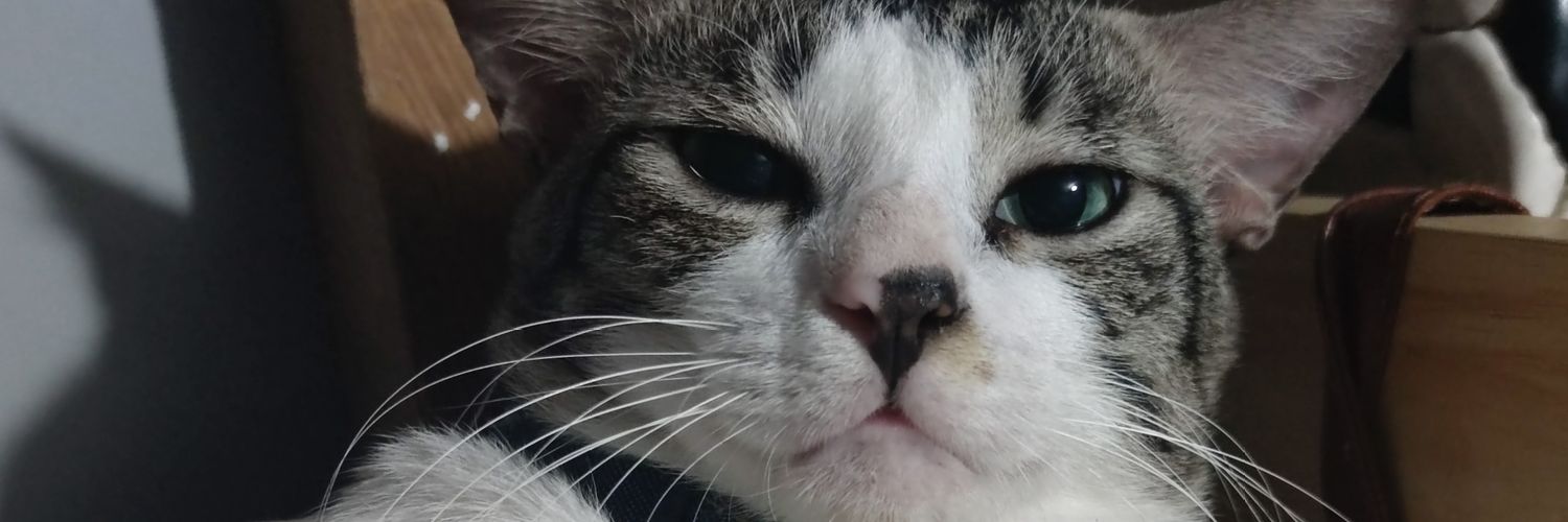 DNNGLD's profile banner image