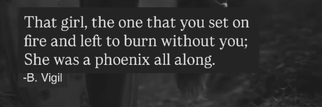 Titanium Wallace banner