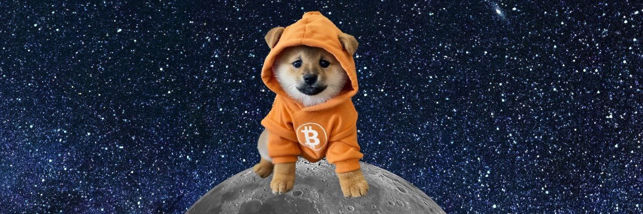 LIGON ❤️ $DOG(Bitcoin)'s banner