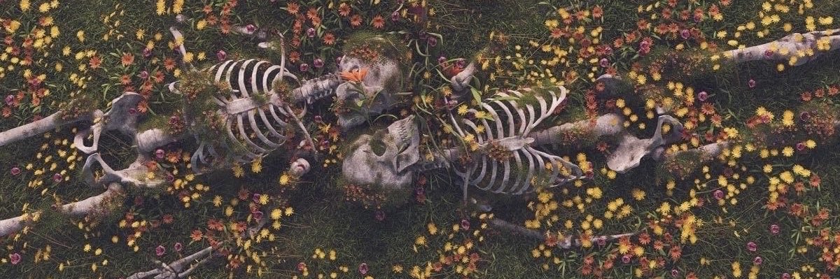 Spooky 🕊️ banner
