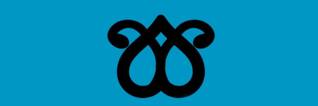 srdaydin's profile banner image