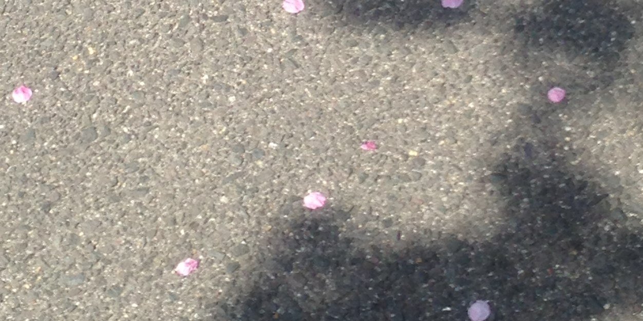 流風 藍@流藍 banner