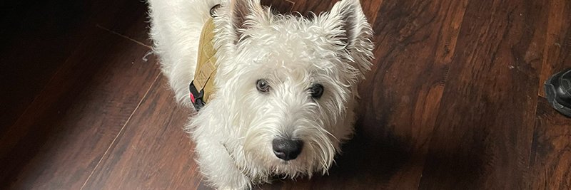 James B Fudge banner