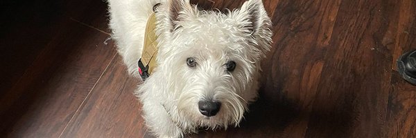jfudge Profile Banner