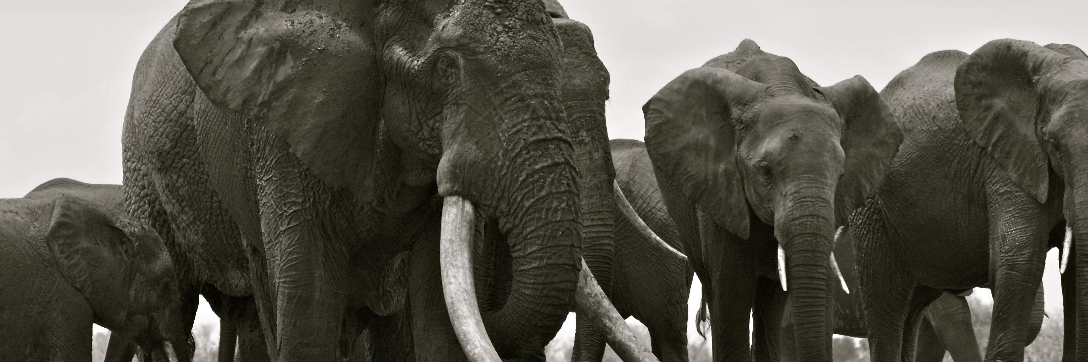 Eng_Awala_Asewe's profile banner image