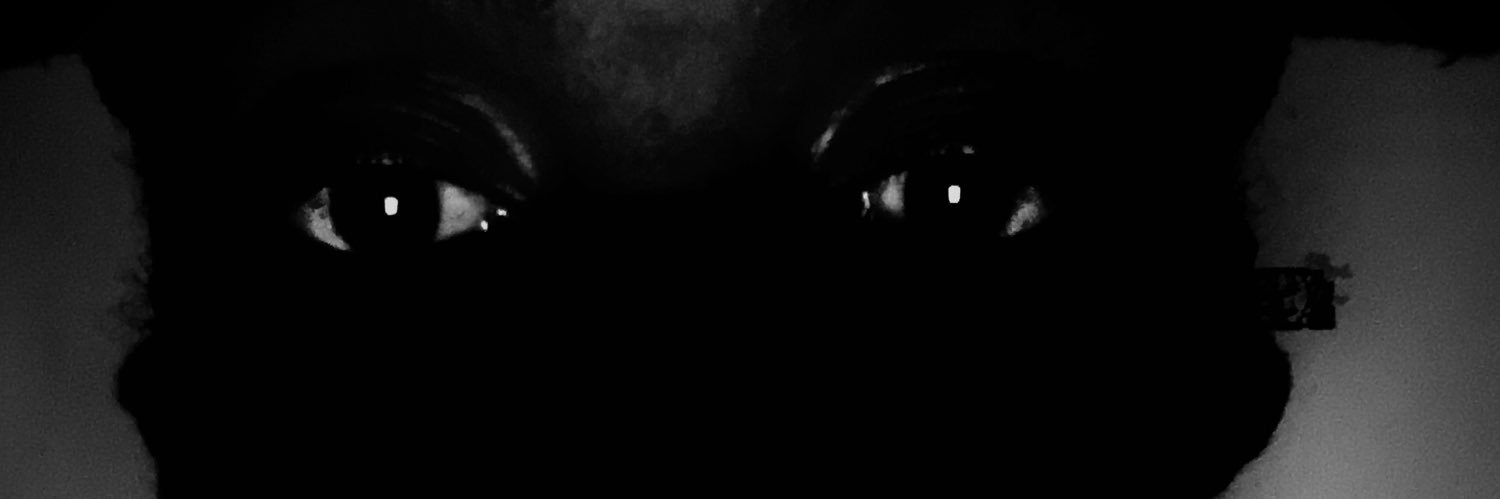 PhilileSA's profile banner image