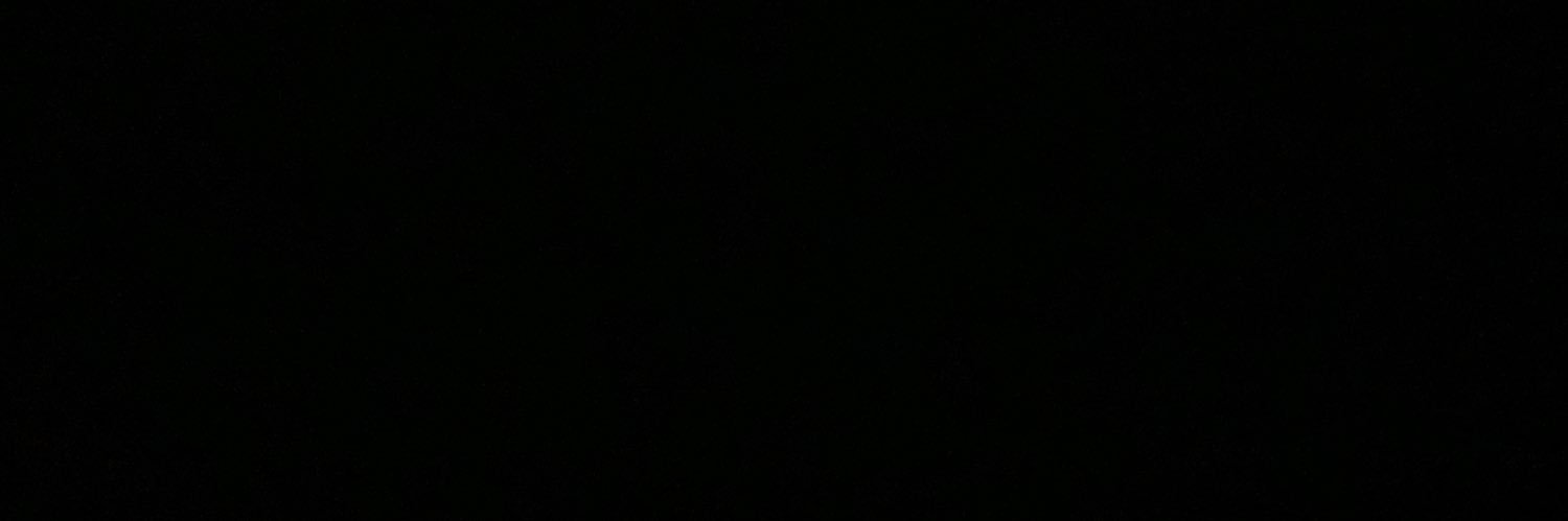 vendavalz's profile banner image