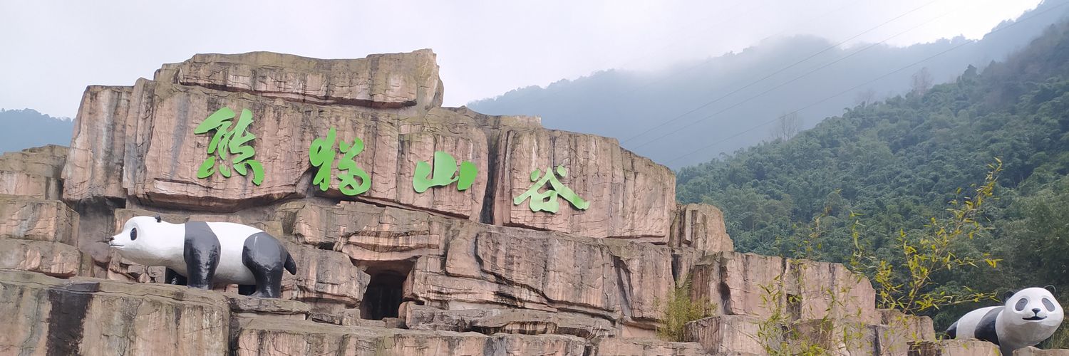 Syed Hassan Ali banner