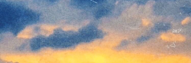 𝐒𝐚𝐥𝐞𝐦 🌲🐻's banner