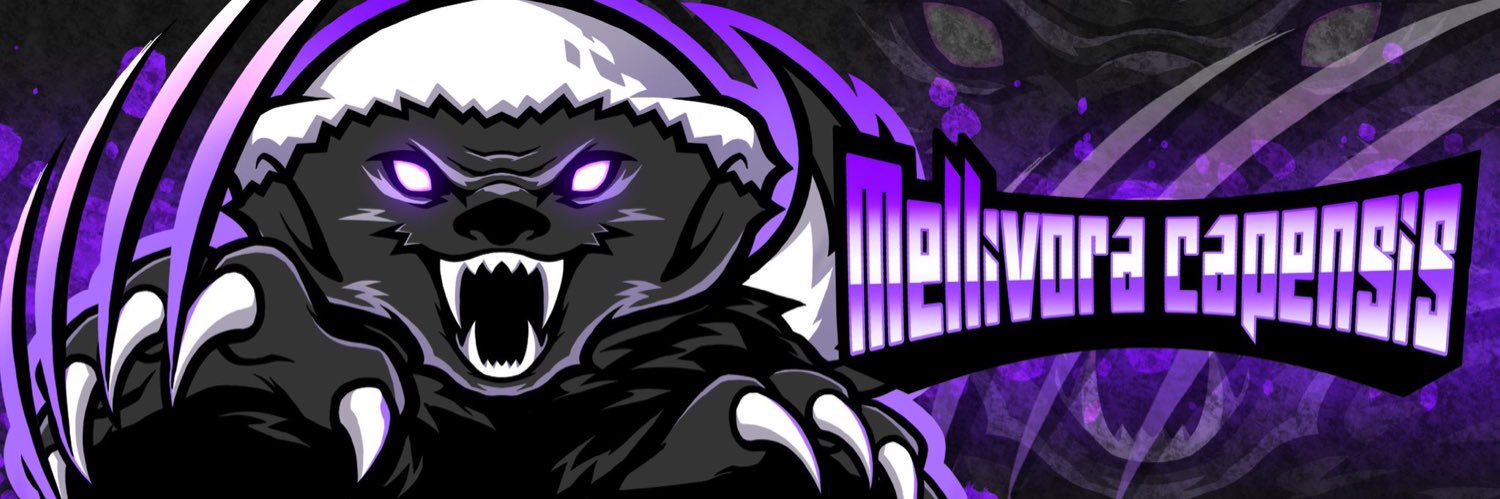 FeGye banner