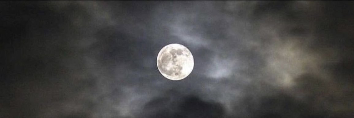 M banner