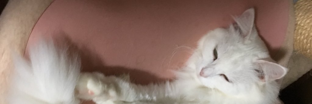 りょうが banner