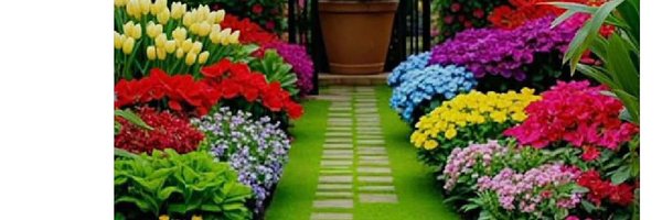 MDPARWAIZAlam17 Profile Banner