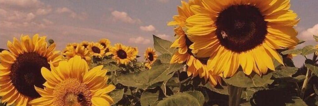 Jessgenx's profile banner image