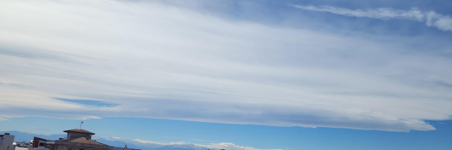 BeNi ꕥ banner