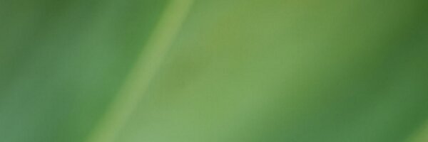 nathan Profile Banner