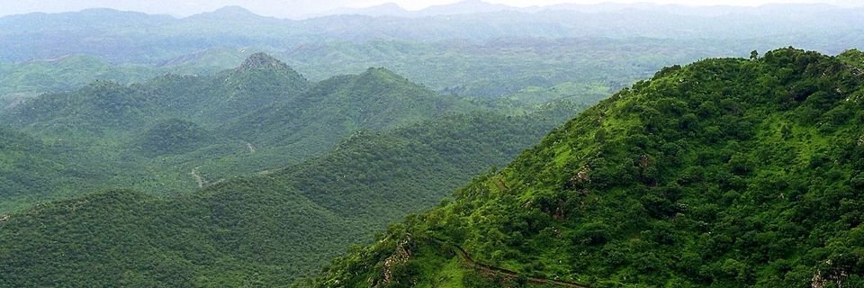 AravalliNeem's profile banner image