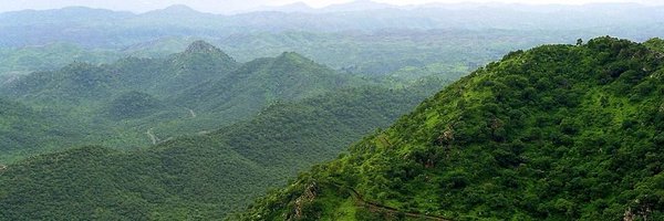 AravalliNeem Profile Banner