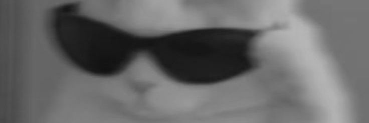 Kafkanisme's profile banner image